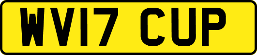 WV17CUP