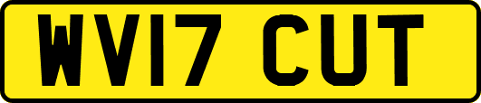 WV17CUT