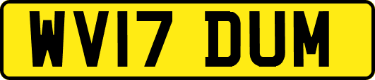 WV17DUM