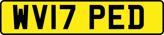 WV17PED