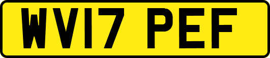 WV17PEF
