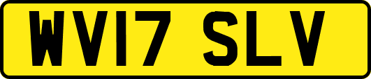 WV17SLV
