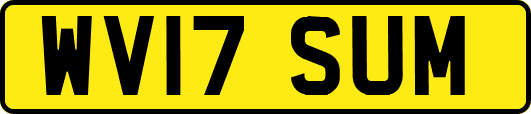 WV17SUM