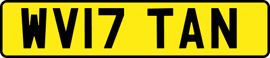 WV17TAN