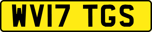 WV17TGS