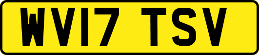 WV17TSV