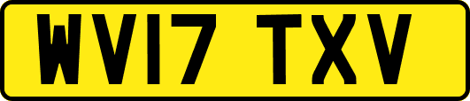 WV17TXV