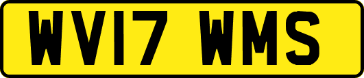 WV17WMS