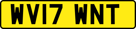 WV17WNT