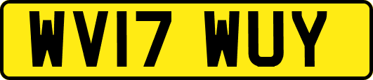 WV17WUY