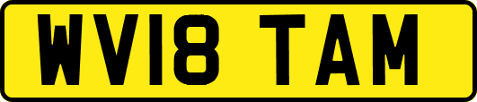 WV18TAM