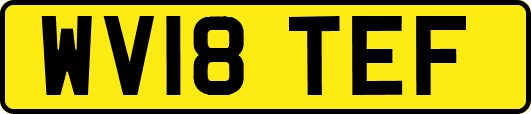 WV18TEF