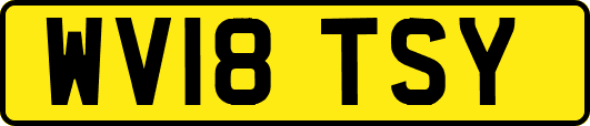 WV18TSY