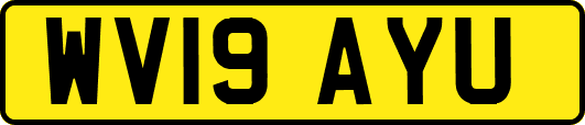 WV19AYU