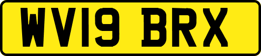 WV19BRX
