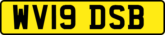 WV19DSB