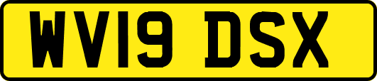 WV19DSX