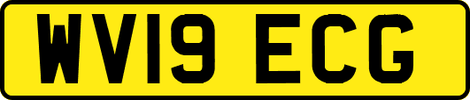 WV19ECG