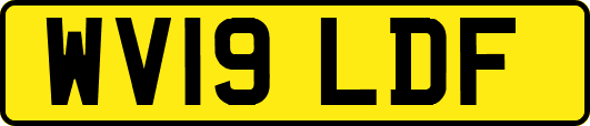 WV19LDF