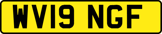 WV19NGF