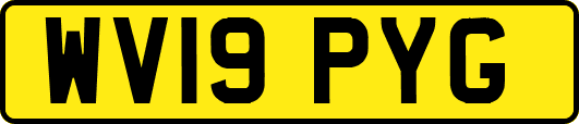 WV19PYG