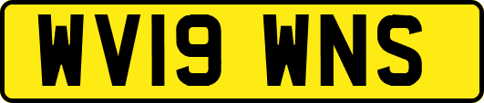 WV19WNS