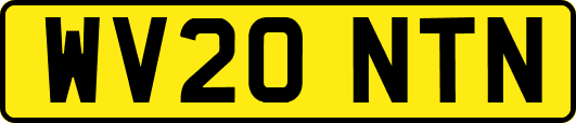 WV20NTN