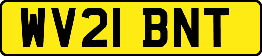 WV21BNT