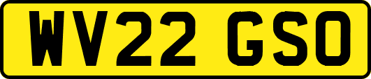 WV22GSO