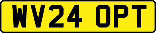 WV24OPT