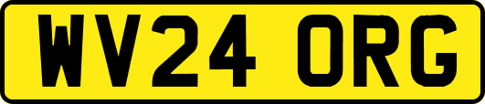 WV24ORG