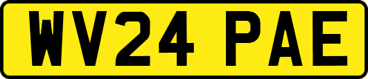 WV24PAE