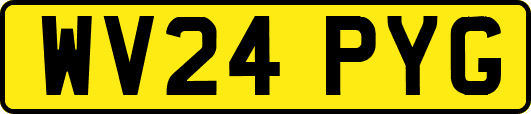 WV24PYG