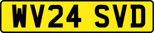 WV24SVD
