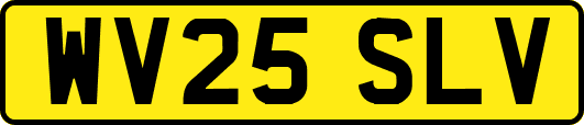 WV25SLV