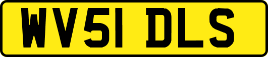 WV51DLS