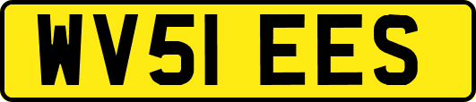 WV51EES