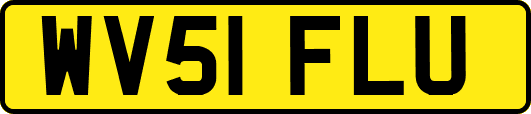 WV51FLU