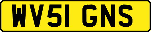 WV51GNS