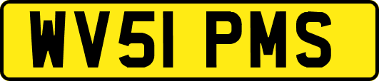 WV51PMS