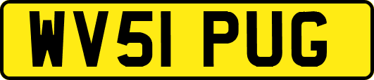 WV51PUG
