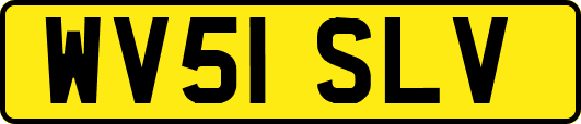 WV51SLV