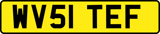 WV51TEF