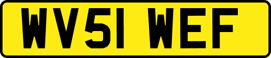 WV51WEF