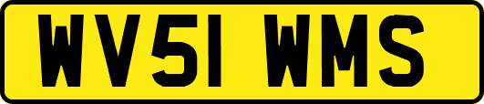 WV51WMS