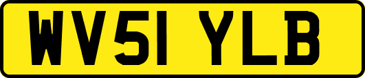WV51YLB