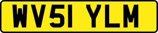 WV51YLM