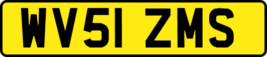 WV51ZMS