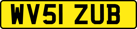 WV51ZUB