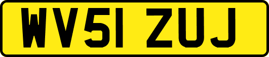 WV51ZUJ